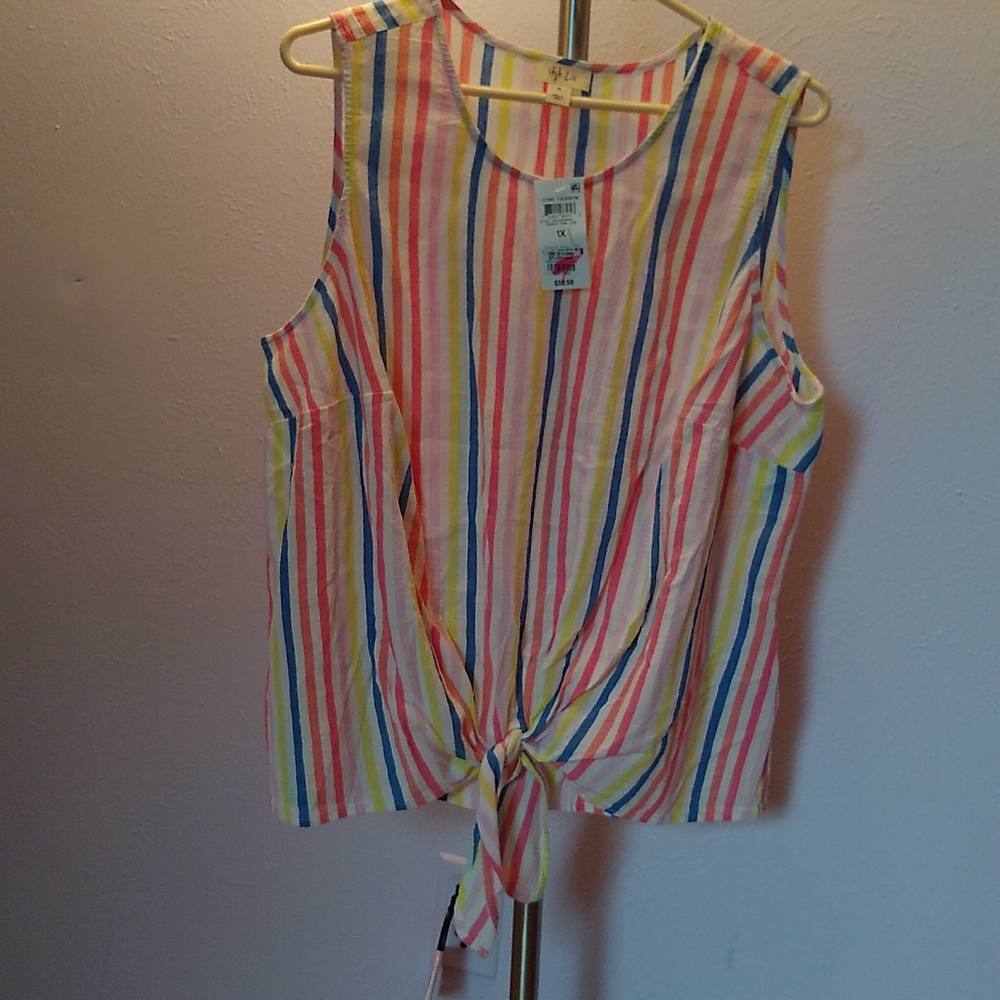 Ladies top